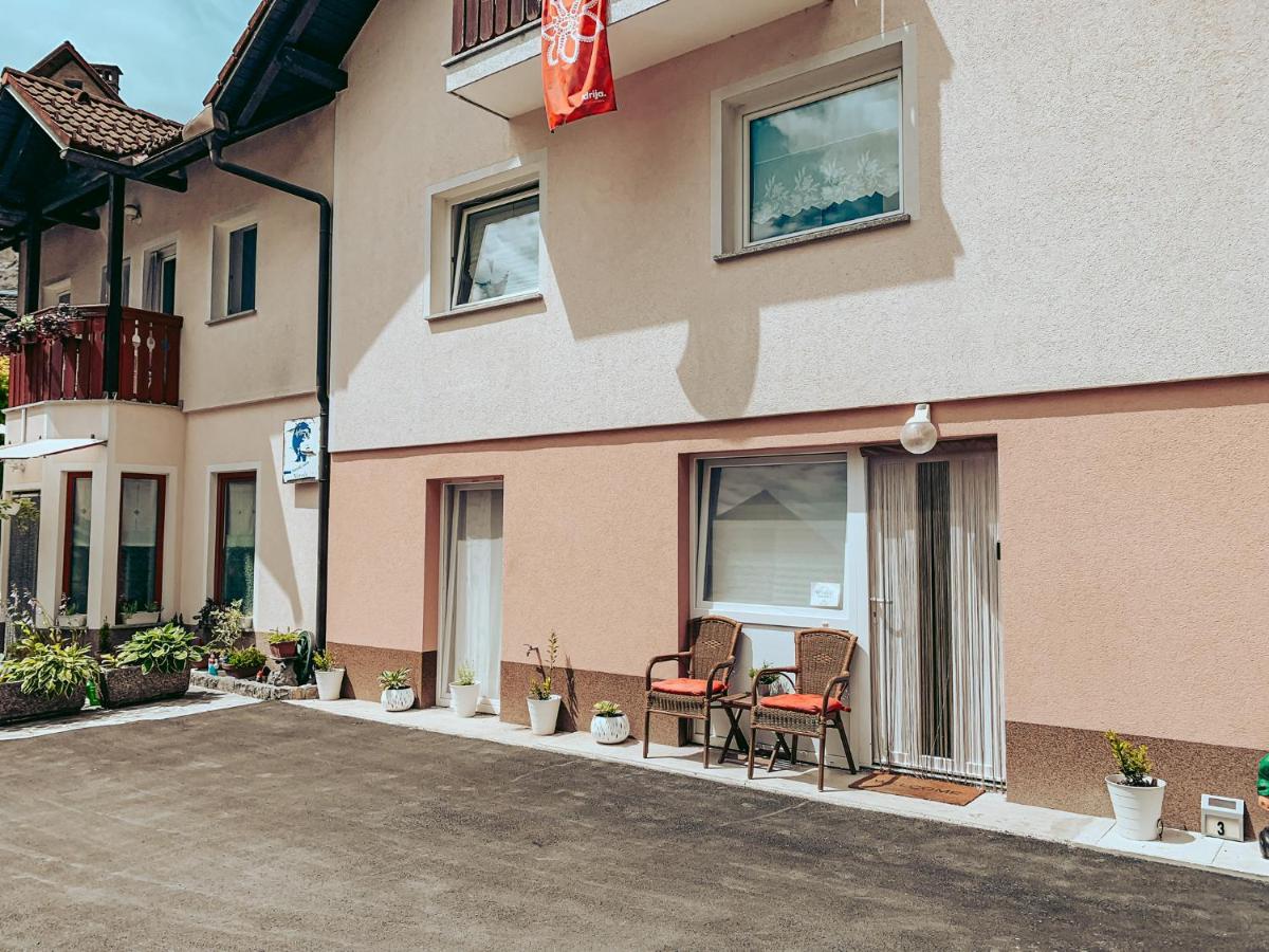 Apartments Ivanović Idrija Buitenkant foto